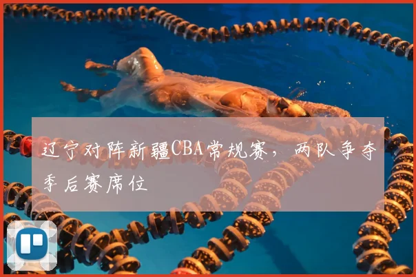 辽宁对阵新疆CBA常规赛，两队争夺季后赛席位