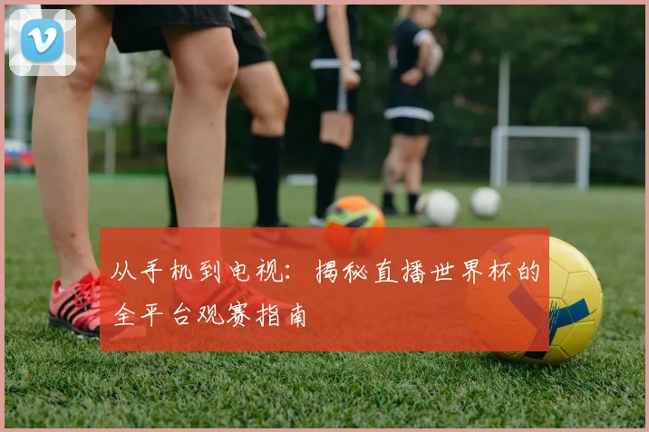 从手机到电视：揭秘直播世界杯的全平台观赛指南