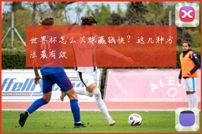 世界杯怎么买球赢钱快？这几种方法最有效