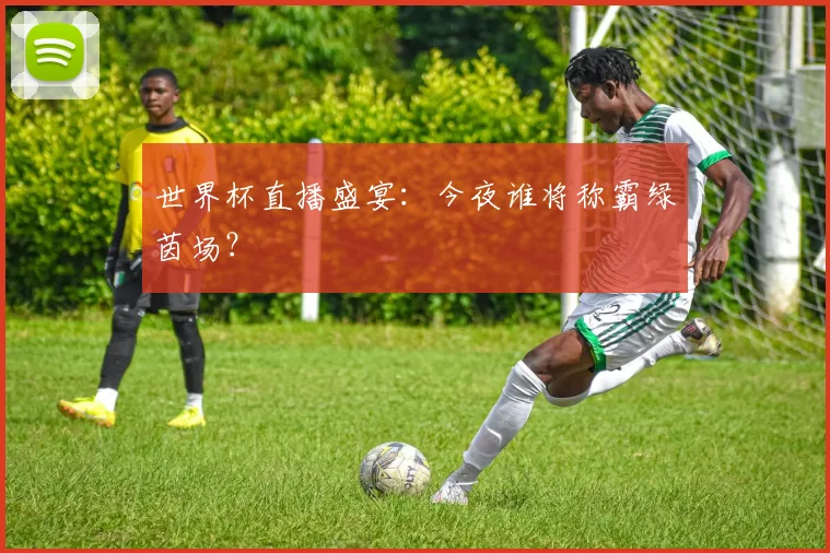世界杯直播盛宴：今夜谁将称霸绿茵场？