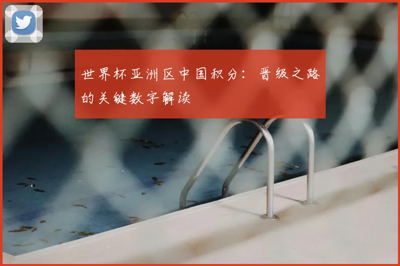 世界杯亚洲区中国积分:晋级之路的关键数字解读