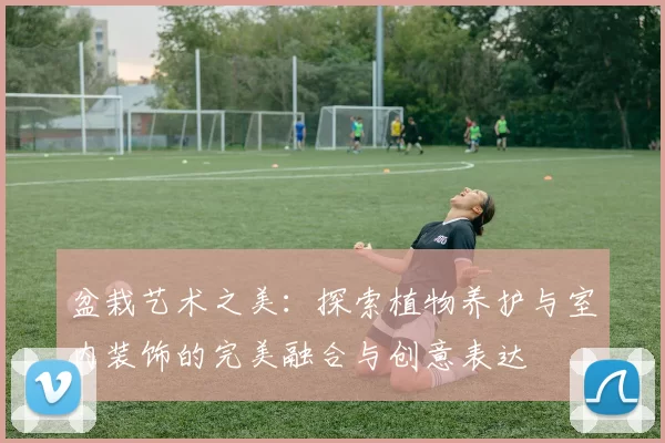 盆栽艺术之美：探索植物养护与室内装饰的完美融合与创意表达