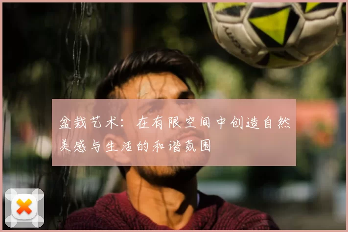 盆栽艺术：在有限空间中创造自然美感与生活的和谐氛围