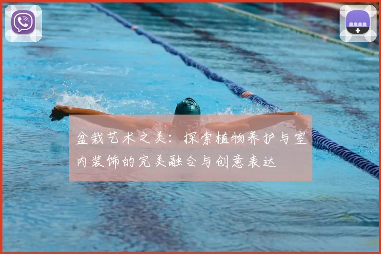 盆栽艺术之美：探索植物养护与室内装饰的完美融合与创意表达