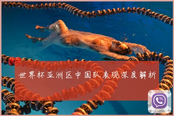 世界杯亚洲区中国队表现深度解析