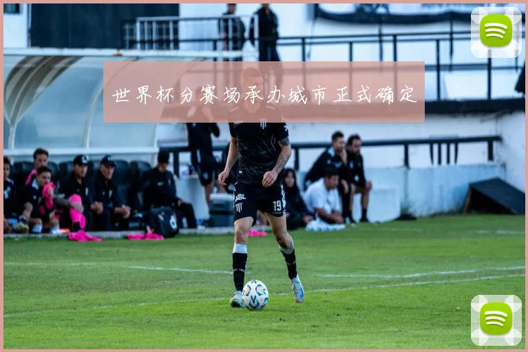 世界杯分赛场承办城市正式确定