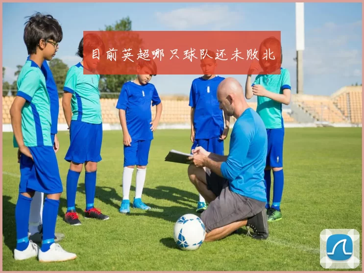 目前英超哪只球队还未败北