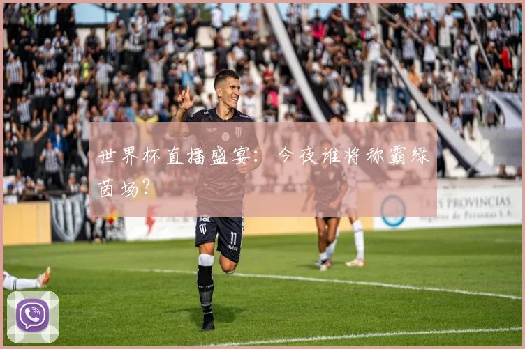 世界杯直播盛宴：今夜谁将称霸绿茵场？